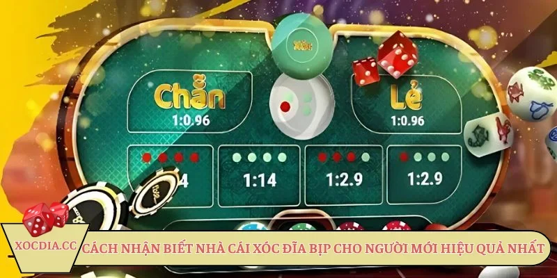 Cách nhận biết nhà cái xóc đĩa bịp cho người mới hiệu quả nhất