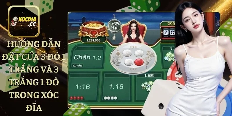 Hướng Dẫn Đặt Cửa 3 Đỏ 1 Trắng Và 3 Trắng 1 Đỏ Trong Xóc Đĩa