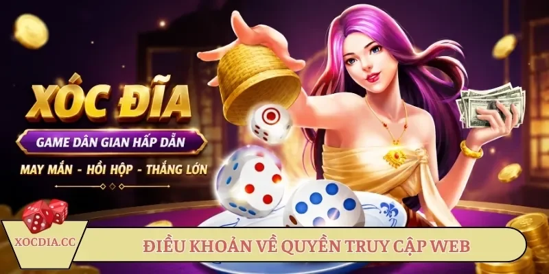 dieu-khoan-dich-vu-ve-quyen-truy-cap-web