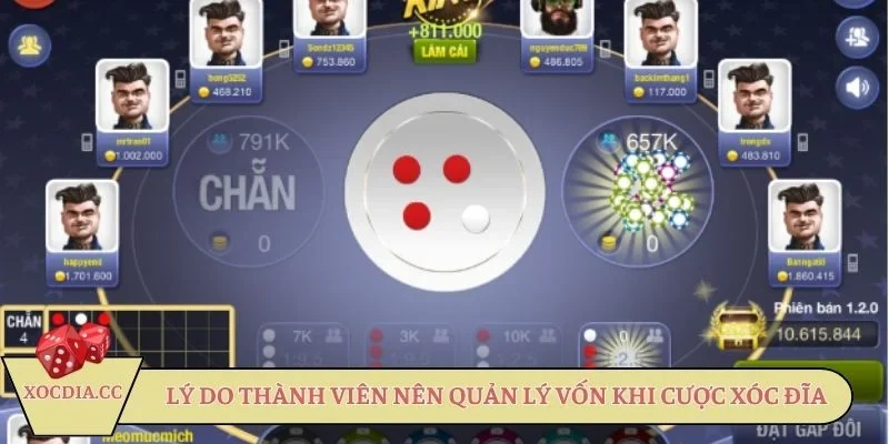 Lý do thành viên nên quản lý vốn khi cược xóc đĩa