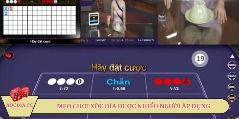 Mẹo chơi xóc đĩa online nhiều thành viên học hỏi