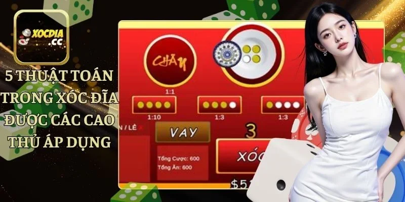 5 Thuật Toán Trong Xóc Đĩa Được Các Cao Thủ Áp Dụng