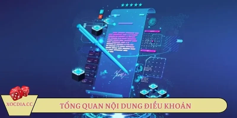 tong-quan-noi-dung-dieu-khoan-dich-vu